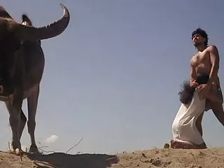 முதிர்ச்சியடைந்த அம்மாவை இளம் போனர்