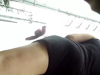 முலாட்டோஸ் மற்றும் கருப்பு பெண்களுடன் பிரேசிலிய களியாட்டம்
