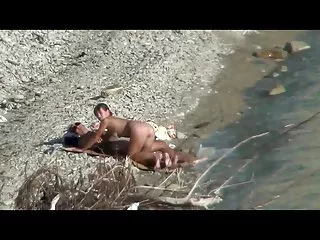 சப்பி பொன்னிறம் பாலியல் திறன்களைக் காட்டுகிறது